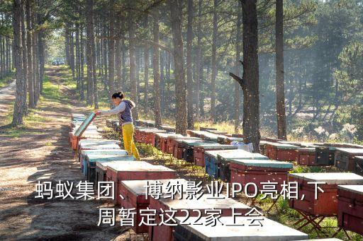 螞蟻集團(tuán)、 博納影業(yè)IPO亮相,下周暫定這22家上會