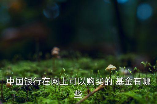 中國(guó)銀行在網(wǎng)上可以購(gòu)買的 基金有哪些