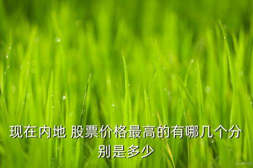 現(xiàn)在內地 股票價格最高的有哪幾個分別是多少