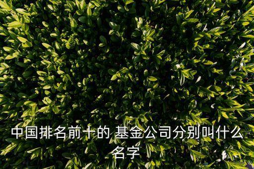 廣州中超基金管理有限公司,廣州遠(yuǎn)見(jiàn)創(chuàng)業(yè)投資基金管理有限公司