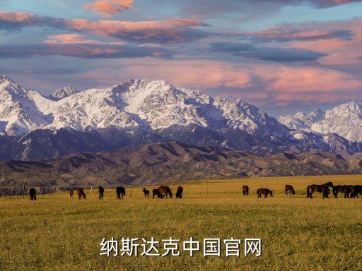 納斯達(dá)克中國官網(wǎng)
