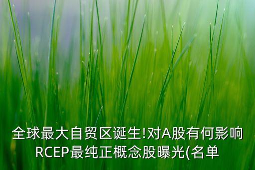 全球最大自貿(mào)區(qū)誕生!對A股有何影響RCEP最純正概念股曝光(名單