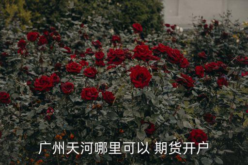 廣州天河哪里可以 期貨開(kāi)戶