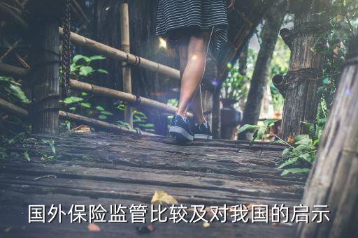 國外保險(xiǎn)監(jiān)管比較及對我國的啟示