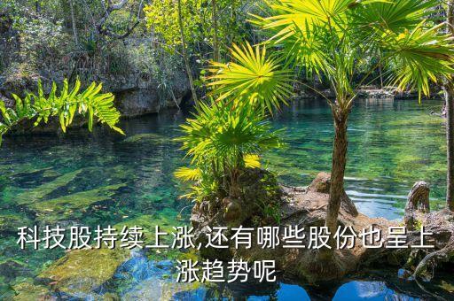 國(guó)策環(huán)保股票代碼,環(huán)保類(lèi)股票龍頭股票代碼