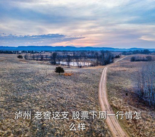 瀘州老窖股票歷史價(jià)