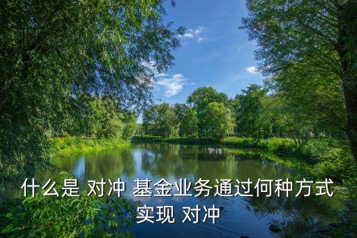 什么是 對沖 基金業(yè)務通過何種方式實現(xiàn) 對沖