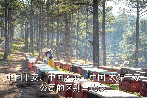 中國平安、中國人壽、中國 太保三家公司的區(qū)別與比較
