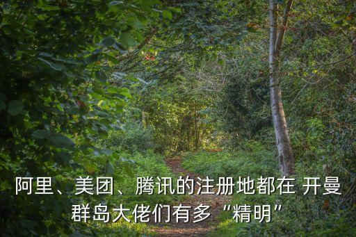 阿里、美團、騰訊的注冊地都在 開曼群島大佬們有多“精明”