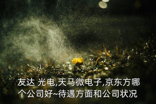  友達 光電,天馬微電子,京東方哪個公司好~待遇方面和公司狀況