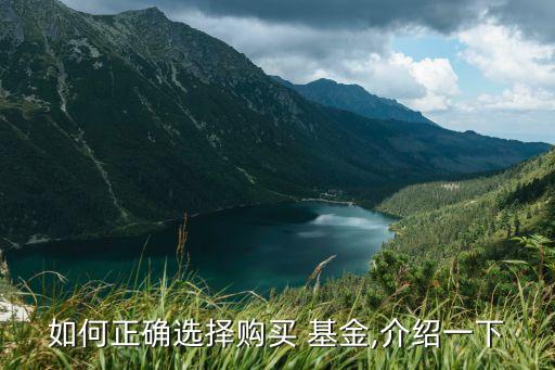 如何正確選擇購(gòu)買(mǎi) 基金,介紹一下