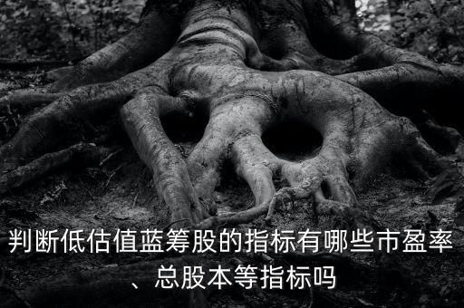 判斷低估值藍籌股的指標有哪些市盈率、總股本等指標嗎