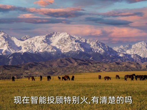 博道基金管理有限公司