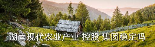 湖南現(xiàn)代農業(yè)產(chǎn)業(yè) 控股 集團穩(wěn)定嗎