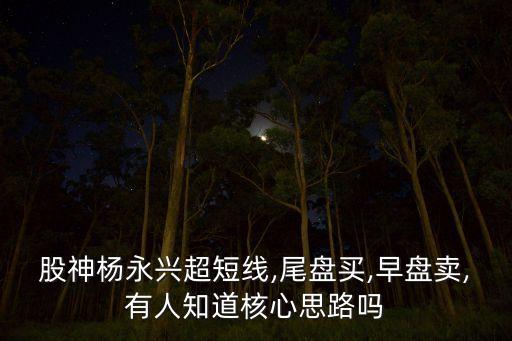 股神楊永興超短線,尾盤(pán)買(mǎi),早盤(pán)賣(mài),有人知道核心思路嗎