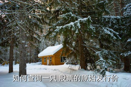 如何查詢一只 股票的原始發(fā)行價