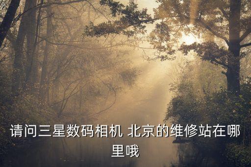 請問三星數(shù)碼相機 北京的維修站在哪里哦