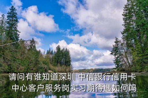 請(qǐng)問(wèn)有誰(shuí)知道深圳 中信銀行信用卡 中心客戶(hù)服務(wù)崗實(shí)習(xí)期待遇如何嗎