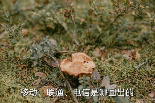 移動、聯(lián)通、電信是哪國出的