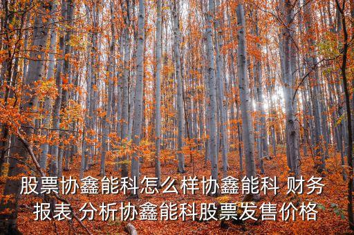 股票協(xié)鑫能科怎么樣協(xié)鑫能科 財務 報表 分析協(xié)鑫能科股票發(fā)售價格