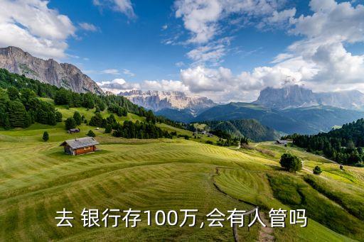去 銀行存100萬(wàn),會(huì)有人管嗎
