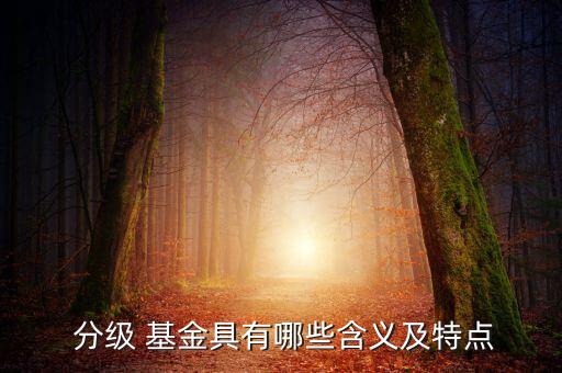  分級 基金具有哪些含義及特點(diǎn)