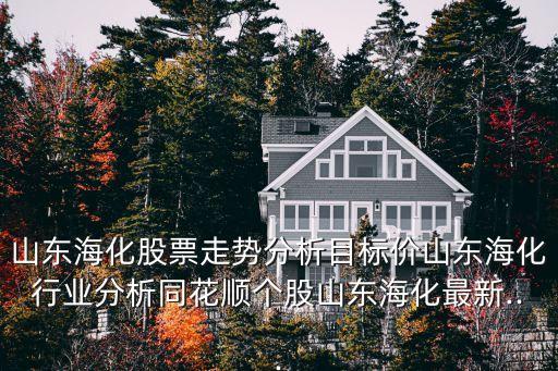 山東?；善弊邉莘治瞿繕?biāo)價山東?；袠I(yè)分析同花順個股山東海化最新...