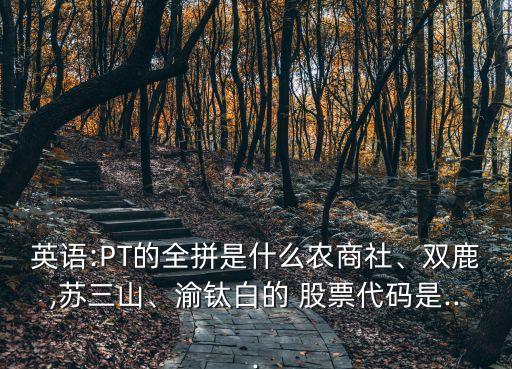 英語:PT的全拼是什么農(nóng)商社、雙鹿,蘇三山、渝鈦白的 股票代碼是...