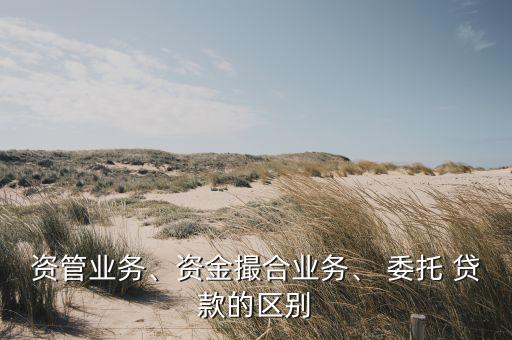 資管業(yè)務(wù)、資金撮合業(yè)務(wù)、 委托 貸款的區(qū)別