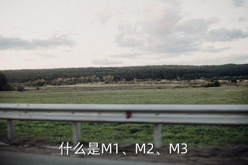 什么是M1、M2、M3