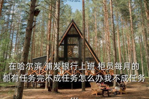 在哈爾濱 浦發(fā)銀行上班 柜員每月的都有任務完不成任務怎么辦我不成任務...