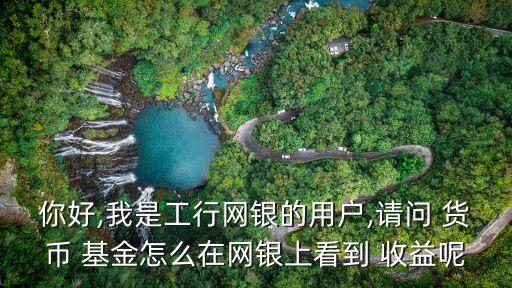 你好,我是工行網(wǎng)銀的用戶(hù),請(qǐng)問(wèn) 貨幣 基金怎么在網(wǎng)銀上看到 收益呢