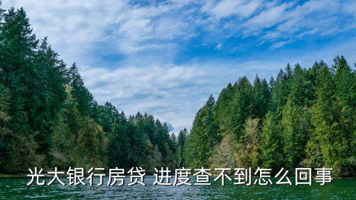 中國(guó)光大銀行公積金貸款進(jìn)度查詢,光大銀行公積金貸款提前還款