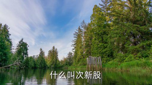 老股票