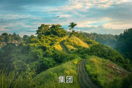 萬(wàn)鴻集團(tuán)