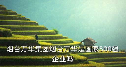 煙臺萬華集團煙臺萬華是國家500強企業(yè)嗎