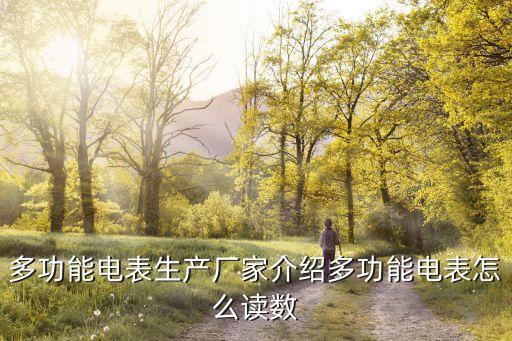 多功能電表生產廠家介紹多功能電表怎么讀數(shù)