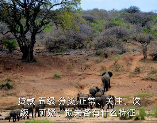  貸款 五級 分類,正常、關(guān)注、次級、可疑、損失各有什么特征