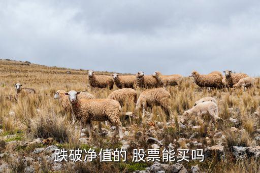 跌破凈值的 股票能買(mǎi)嗎