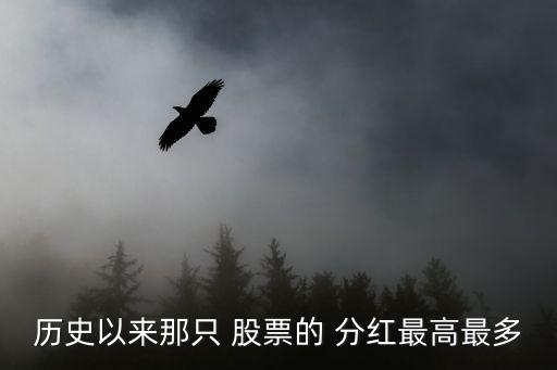 歷史以來(lái)那只 股票的 分紅最高最多