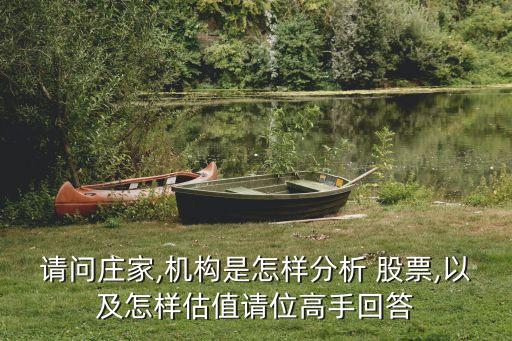 市盈率買(mǎi)入股票巴菲特,巴菲特買(mǎi)入可口可樂(lè)的市盈率