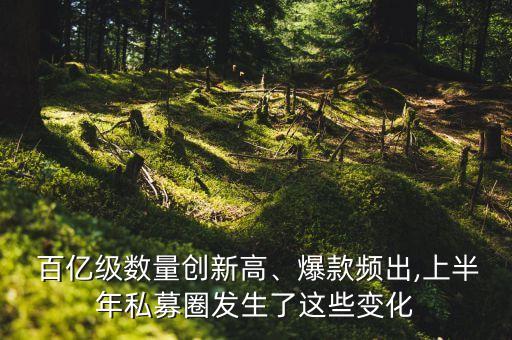  百億級(jí)數(shù)量創(chuàng)新高、爆款頻出,上半年私募圈發(fā)生了這些變化
