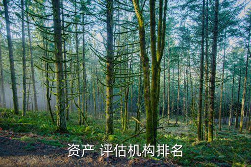 資產(chǎn) 評估機構排名