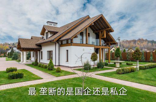 最 壟斷的是國(guó)企還是私企