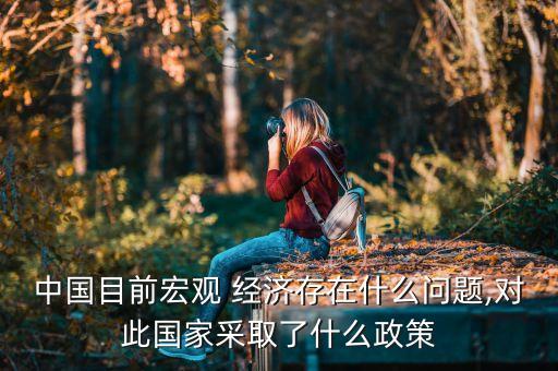 中國目前宏觀 經(jīng)濟(jì)存在什么問題,對(duì)此國家采取了什么政策