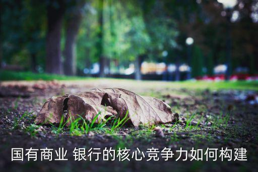 國有商業(yè) 銀行的核心競爭力如何構建