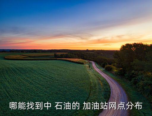 哪能找到中 石油的 加油站網點分布