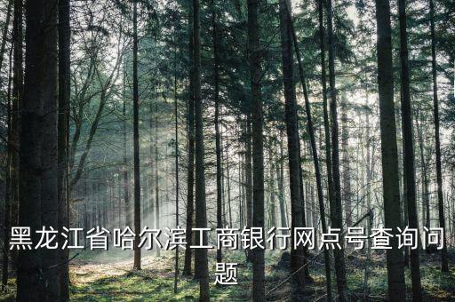 黑龍江省哈爾濱工商銀行網點號查詢問題