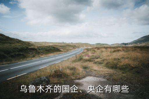 烏魯木齊的國企、央企有哪些