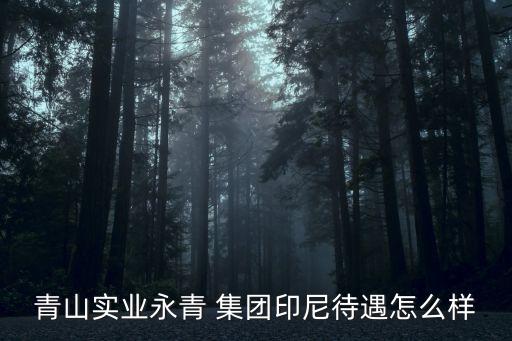 青山實業(yè)永青 集團印尼待遇怎么樣